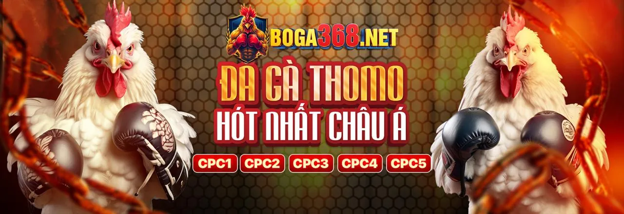 Chiến thuật Tài Xỉu cơ bản