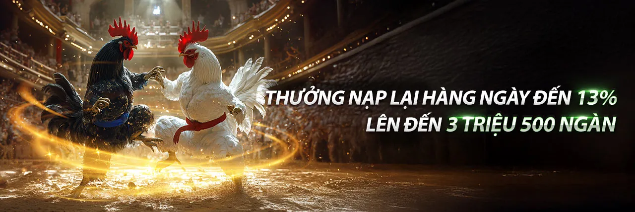 Đá gà trực tuyến 79sodo với không khí sôi động