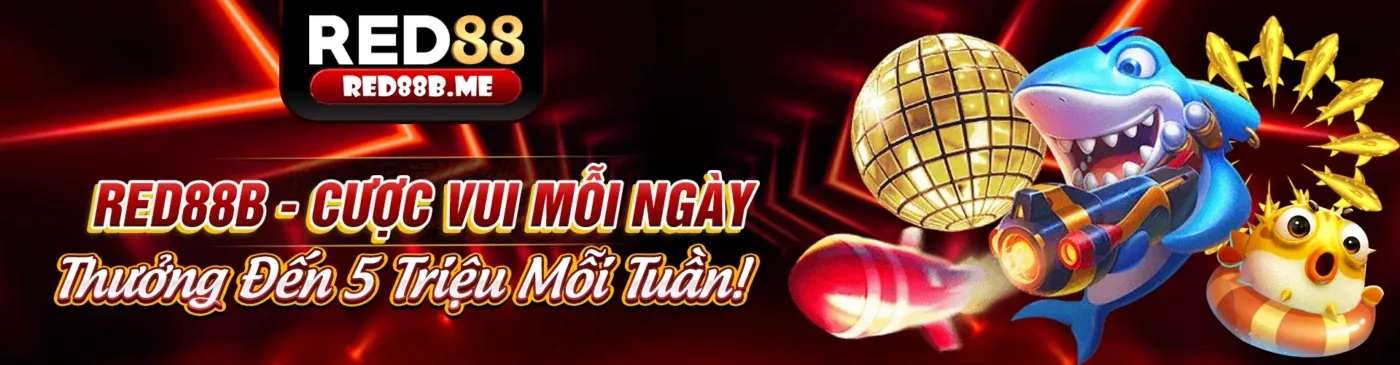 Đấu trường đá gà Thomo sôi động, nơi diễn ra các trận đấu kịch tính và hấp dẫn nhất